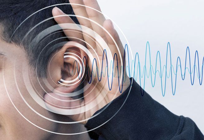 hearing-evolution